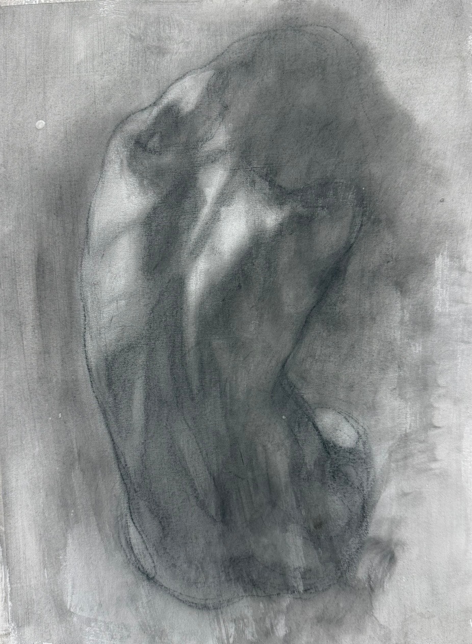 Figure study — torso, charcoal